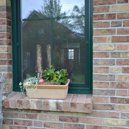 Dine Hébergement de vacances *