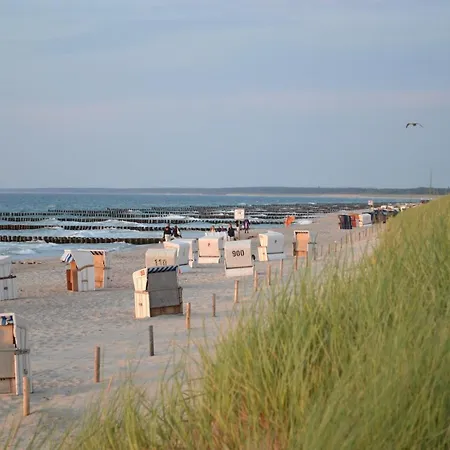 Dine Дом отдыха *