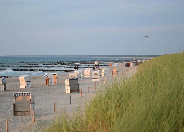 Dine Сasa de vacaciones *